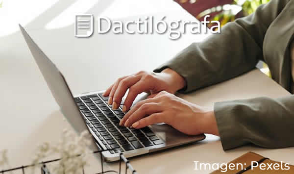 hombre tipeando en una notebook - sinónimos de dactilógrafa